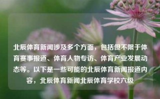 北辰体育新闻涉及多个方面，包括但不限于体育赛事报道、体育人物专访、体育产业发展动态等。以下是一些可能的北辰体育新闻报道内容，北辰体育新闻北辰体育学校六级