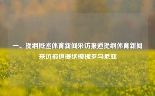 一、提纲概述体育新闻采访报道提纲体育新闻采访报道提纲模板罗马尼亚