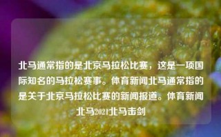 北马通常指的是北京马拉松比赛，这是一项国际知名的马拉松赛事。体育新闻北马通常指的是关于北京马拉松比赛的新闻报道。体育新闻北马2021北马击剑