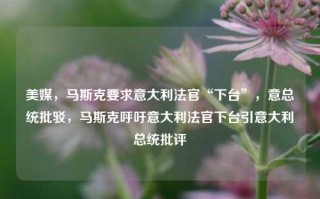 美媒，马斯克要求意大利法官“下台”，意总统批驳，马斯克呼吁意大利法官下台引意大利总统批评