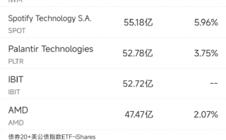 11月13日美股成交额前20，马斯克将领导特朗普政府效率部门，11月13日美股市场，马斯克引领效率部门前20大交易额股美国榜单