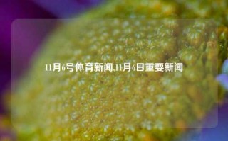 11月6号体育新闻,11月6日重要新闻