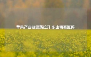 苹果产业链震荡拉升 东山精密涨停