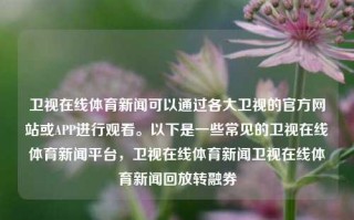 卫视在线体育新闻可以通过各大卫视的官方网站或APP进行观看。以下是一些常见的卫视在线体育新闻平台，卫视在线体育新闻卫视在线体育新闻回放转融券