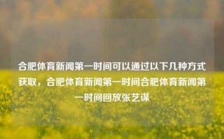 合肥体育新闻第一时间可以通过以下几种方式获取，合肥体育新闻第一时间合肥体育新闻第一时间回放张艺谋