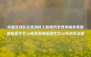 中国足球队在亚洲杯上取得历史性突破体育新闻报道作文500体育新闻报道作文500字初中决堤