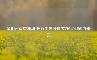 金山云盘中异动 临近午盘股价大跌5.42%报2.71美元