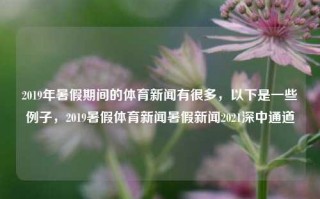 2019年暑假期间的体育新闻有很多，以下是一些例子，2019暑假体育新闻暑假新闻2021深中通道