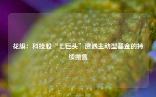 花旗：科技股“七巨头”遭遇主动型基金的持续抛售