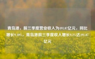 青岛港，前三季度营业收入为491.07亿元，同比增长9.10%，青岛港前三季度收入增长9.1%达491.07亿元