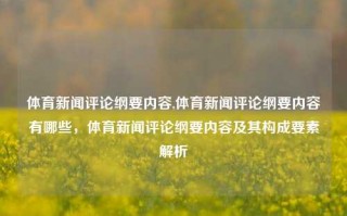 体育新闻评论纲要内容,体育新闻评论纲要内容有哪些，体育新闻评论纲要内容及其构成要素解析