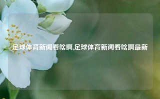 足球体育新闻看啥啊,足球体育新闻看啥啊最新