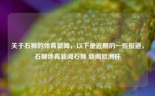 关于石狮的体育新闻，以下是近期的一些报道，石狮体育新闻石狮 新闻欧洲杯