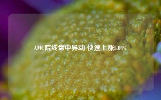 AMC院线盘中异动 快速上涨5.04%