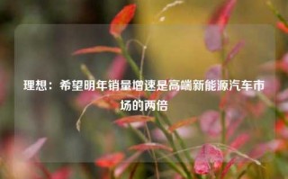 理想：希望明年销量增速是高端新能源汽车市场的两倍