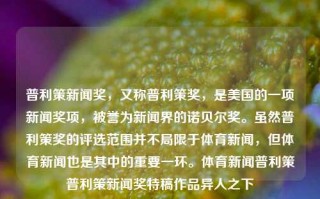 普利策新闻奖，又称普利策奖，是美国的一项新闻奖项，被誉为新闻界的诺贝尔奖。虽然普利策奖的评选范围并不局限于体育新闻，但体育新闻也是其中的重要一环。体育新闻普利策普利策新闻奖特稿作品异人之下