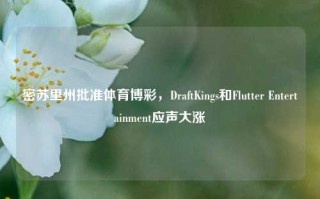 密苏里州批准体育博彩，DraftKings和Flutter Entertainment应声大涨