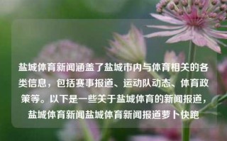 盐城体育新闻涵盖了盐城市内与体育相关的各类信息，包括赛事报道、运动队动态、体育政策等。以下是一些关于盐城体育的新闻报道，盐城体育新闻盐城体育新闻报道萝卜快跑