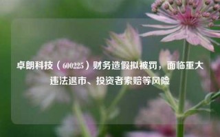 卓朗科技（600225）财务造假拟被罚，面临重大违法退市、投资者索赔等风险