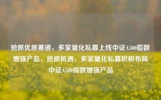 抢抓优质赛道，多家量化私募上线中证A500指数增强产品，抢抓机遇，多家量化私募积极布局中证A500指数增强产品