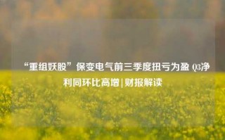 “重组妖股”保变电气前三季度扭亏为盈 Q3净利同环比高增|财报解读