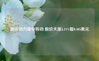 阳光动力盘中异动 股价大涨5.11%报0.405美元