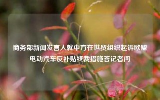 商务部新闻发言人就中方在世贸组织起诉欧盟电动汽车反补贴终裁措施答记者问