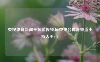 央视体育新闻王渊鹏视频,原中央台体育频道主持人王xⅹ