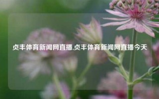 贞丰体育新闻网直播,贞丰体育新闻网直播今天