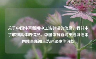 关于中国体育新闻中王浩辟谣的信息，我并未了解到具体的情况。中国体育新闻王浩辟谣中国体育新闻王浩辟谣事件借款