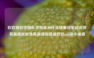 软软领衔中国队夺得亚洲杯足球赛冠军阅读体育新闻软软体育新闻报道最好的app深中通道