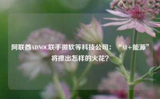 阿联酋ADNOC联手微软等科技公司：“AI+能源”将擦出怎样的火花？