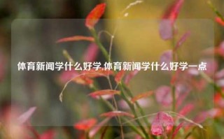 体育新闻学什么好学,体育新闻学什么好学一点