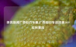 体育新闻广西自行车赛,广西自行车巡回赛2019桂林赛段