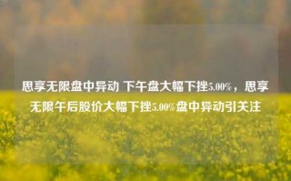 思享无限盘中异动 下午盘大幅下挫5.00%，思享无限午后股价大幅下挫5.00%盘中异动引关注