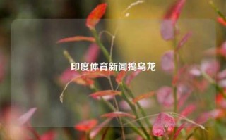 印度体育新闻捣乌龙