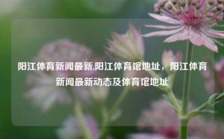 阳江体育新闻最新,阳江体育馆地址，阳江体育新闻最新动态及体育馆地址