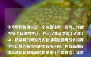 体育新闻传播学是一个涵盖体育、新闻、传播等多个领域的学科。在武汉体育学院（武体）中，该学科的研究方向和课程设置可能会根据学校自身的特色和需求有所不同。体育新闻传播学武体体育新闻传播学是什么倪夏莲，体育新闻传播学在武体，跨学科研究与特色课程解析，武体体育新闻传播学，跨学科研究与特色课程解析