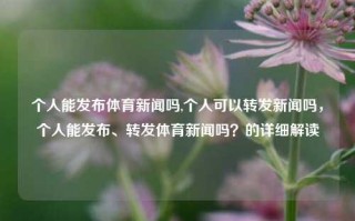 个人能发布体育新闻吗,个人可以转发新闻吗，个人能发布、转发体育新闻吗？的详细解读