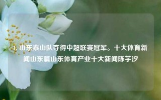 1. 山东泰山队夺得中超联赛冠军。十大体育新闻山东篇山东体育产业十大新闻陈芋汐