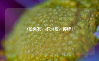 A股突发，4只ST股，停牌！