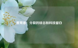 蒉莺春：分裂的硅谷和科技留白