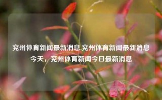 兖州体育新闻最新消息,兖州体育新闻最新消息今天，兖州体育新闻今日最新消息