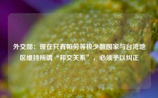 外交部：现在只有帕劳等极少数国家与台湾地区维持所谓“邦交关系”，必须予以纠正