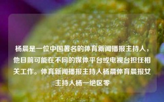 杨晨是一位中国著名的体育新闻播报主持人，他目前可能在不同的媒体平台或电视台担任相关工作。体育新闻播报主持人杨晨体育晨报女主持人杨一绝区零