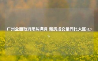 广州全面取消限购满月 新房成交量同比大涨44.3%