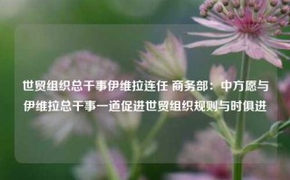 世贸组织总干事伊维拉连任 商务部：中方愿与伊维拉总干事一道促进世贸组织规则与时俱进