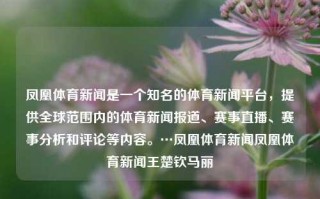 凤凰体育新闻是一个知名的体育新闻平台，提供全球范围内的体育新闻报道、赛事直播、赛事分析和评论等内容。…凤凰体育新闻凤凰体育新闻王楚钦马丽