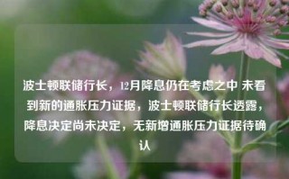 波士顿联储行长，12月降息仍在考虑之中 未看到新的通胀压力证据，波士顿联储行长透露，降息决定尚未决定，无新增通胀压力证据待确认