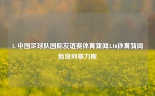 1. 中国足球队国际友谊赛体育新闻3.16体育新闻新浪网赛力斯